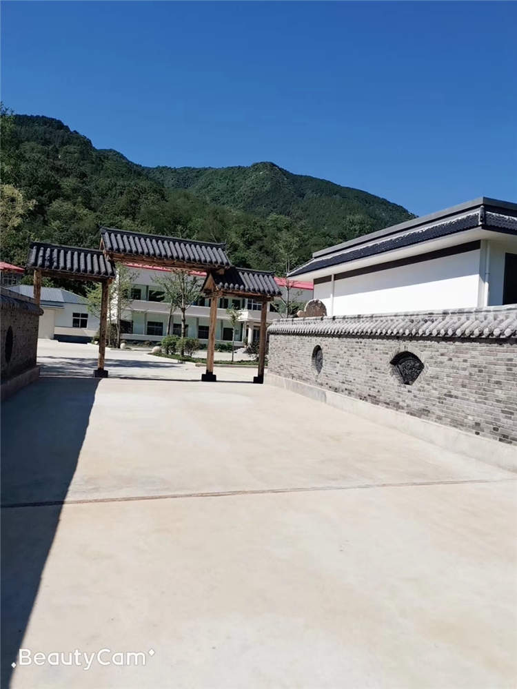 果园风光