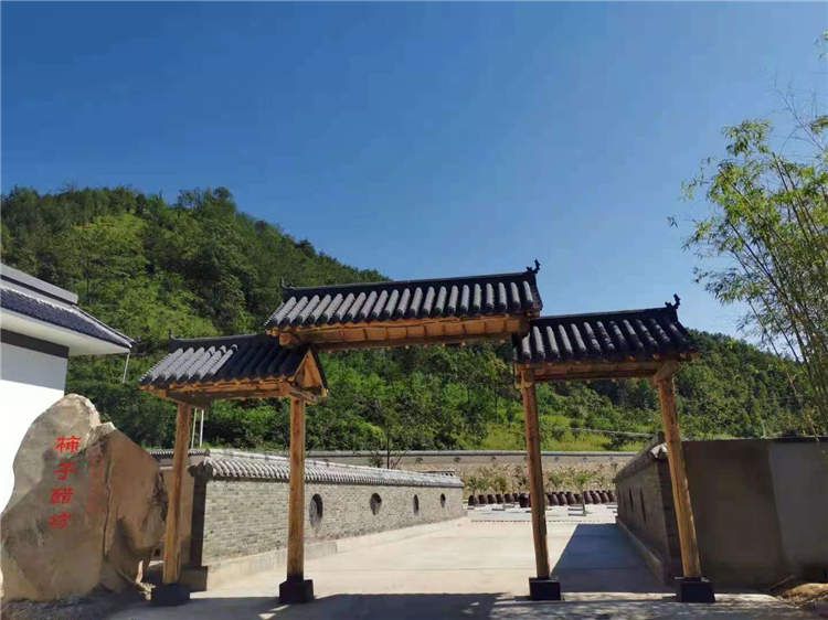 果园风光
