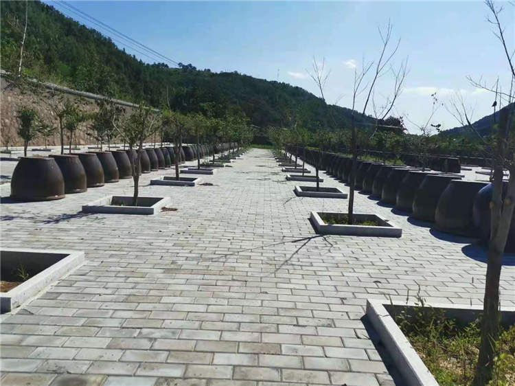 果园风光