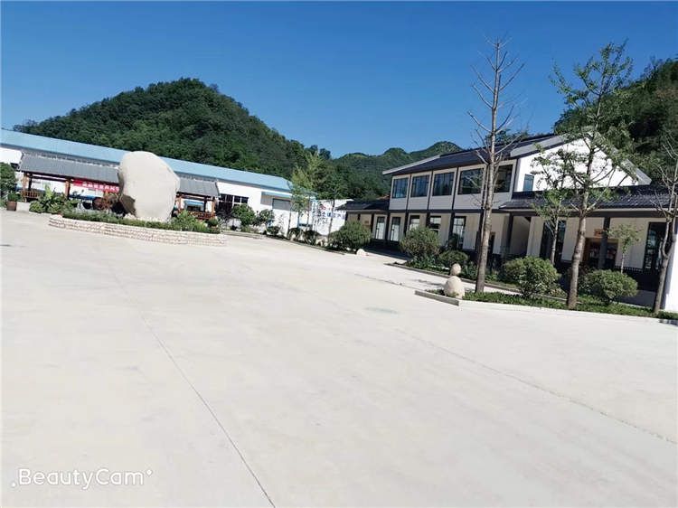 果园风光